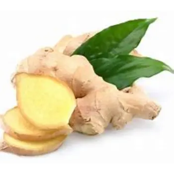 Ginger