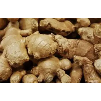 Ginger