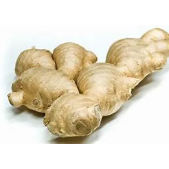 Ginger