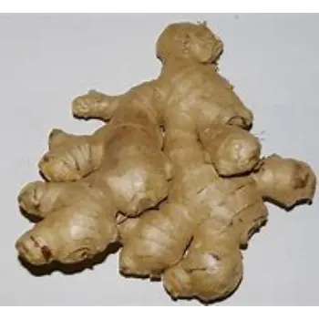 Ginger