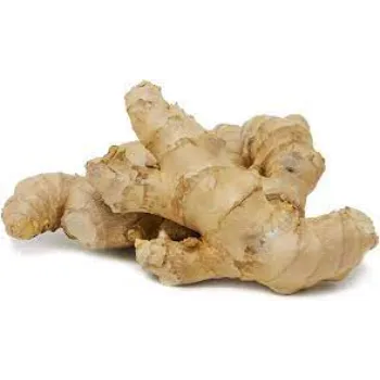 Ginger