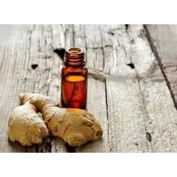  Good Quality  Ginger Oil