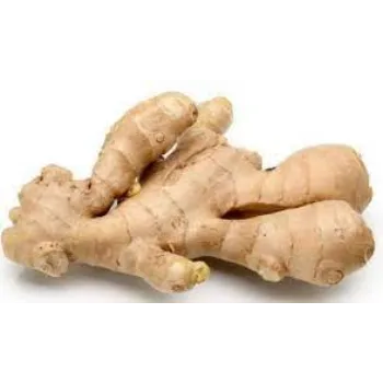 Common  Fresh Ginger