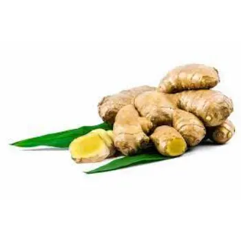 Common Fresh Ginger