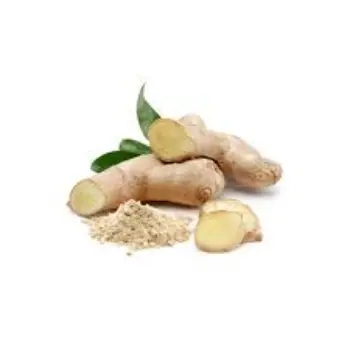 Natural Fresh Ginger