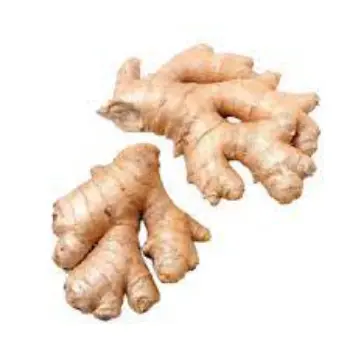Common Fresh Ginger