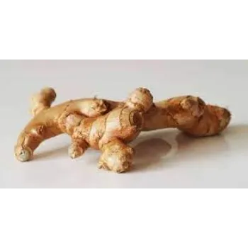 Common Fresh Ginger