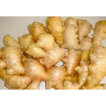 Common Fresh Ginger
