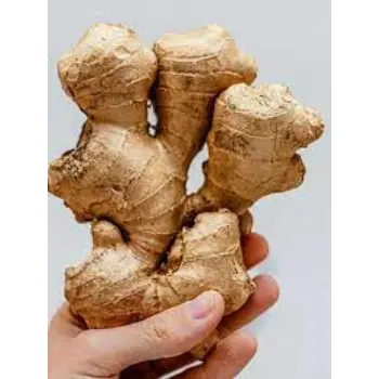 Common Ginger