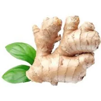Organic Ginger
