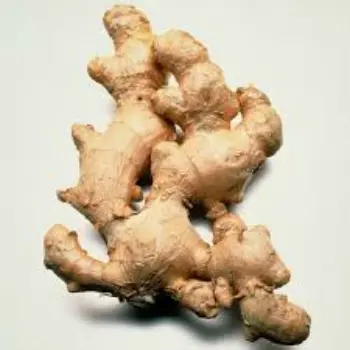 Common Fresh Ginger