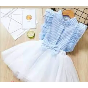 Girls Elegant Frocks