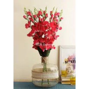 Fresh Gladiolus Flower