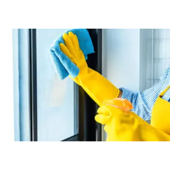 Abhi Glass Duster Cleaner