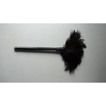 Glass Duster Cleaner