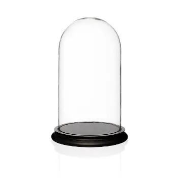 Plain Glass Showcase