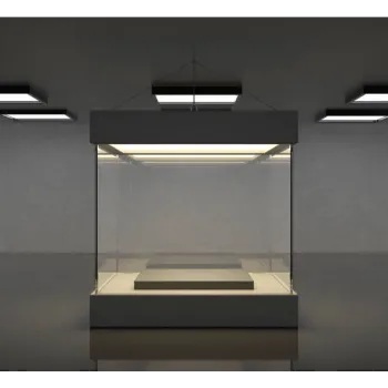 Modern Glass Showcase
