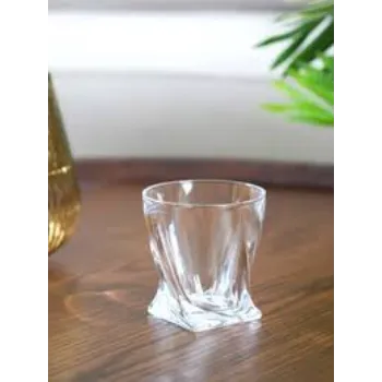 Vision Glass Tumbler 