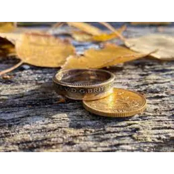 Sun Expo Gold Coins
