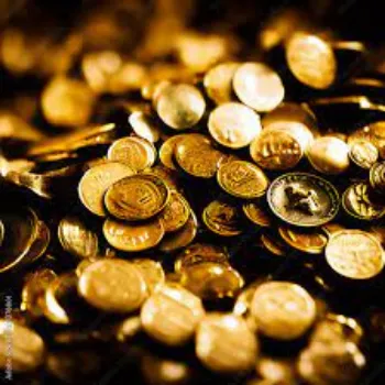 Jaipur Mart Gold Coins