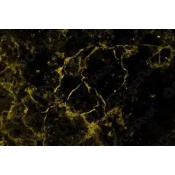 Plain Golden Marble