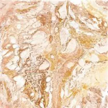 Polished Golden Marble