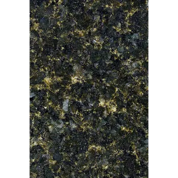 Mahavir Golden Marble