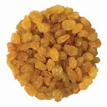 Golden Raisin