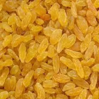 Natural Golden Raisins