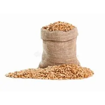 Grain Bags