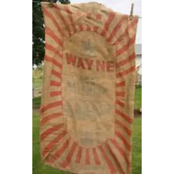 Multicolor Grain Bags