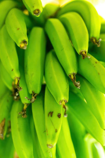 Green Banana