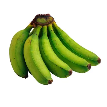 Organic  Green Banana