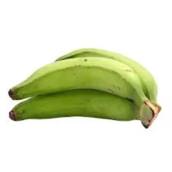 Natural Green Banana