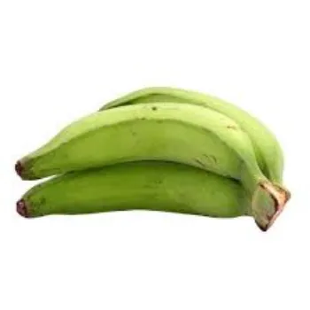 Common  Green Banana