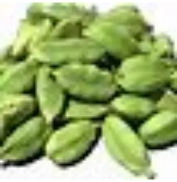 Fresh Green Cardamom Manufacturer, Exporter, Wholesaler, and Trader