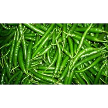 Natural Green Chilli