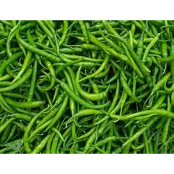 Green Chilli