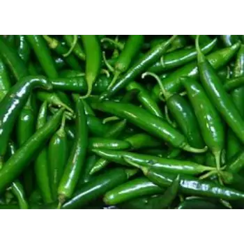 Green Chilli