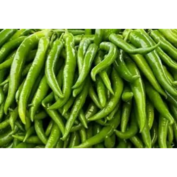 Green Chilli