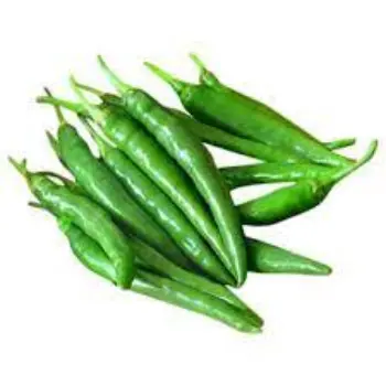 Common Green Chilli