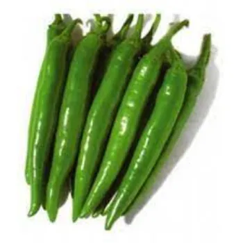Organic Green Chilli
