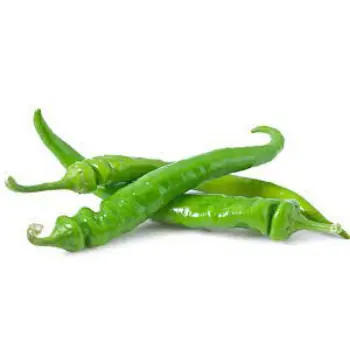 Common Green Chilli 