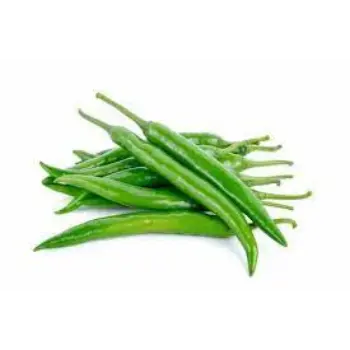 Common Green Chilli