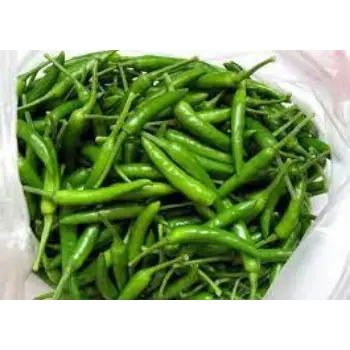 Common Green Chilli
