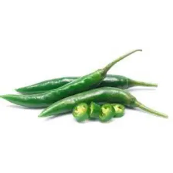 Common Green Chilli