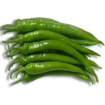 Common Green Chilli