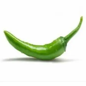 Common Green Chilli