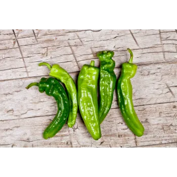 Fresh Green Chilli