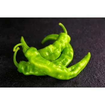 Fresh Green Chilli